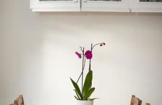 Stunning Stables Cottage in East Lothian Country Estate - Foto 20