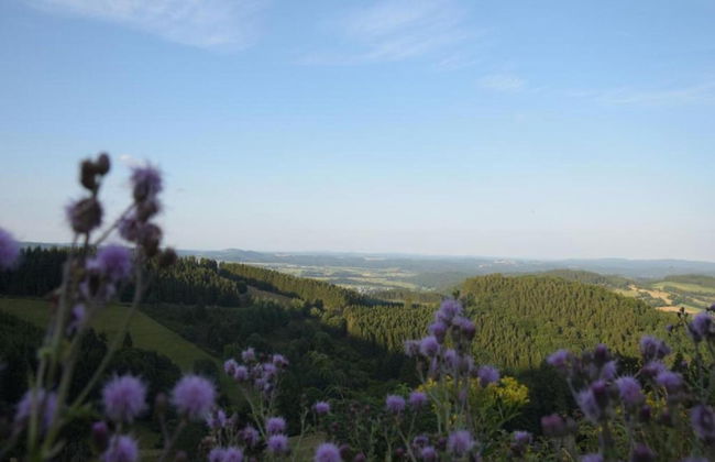 Apartment in Medebach Near Ski Lift - Foto 30