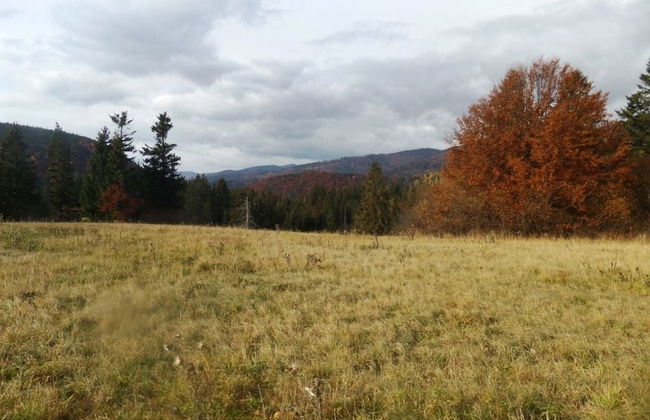 Ski-Lake Cottage Nízke Tatry - Foto 20