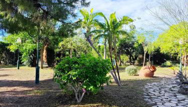 Beautiful home with spacious land in San Vicente - Photo 4, Garden