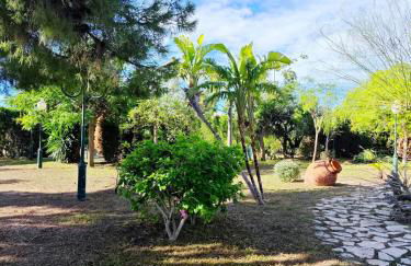 Beautiful home with spacious land in San Vicente - Photo 4