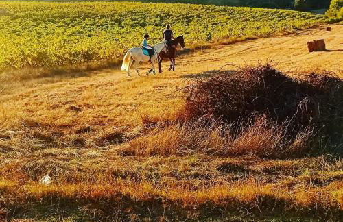 Casinha da Lareira - Quintinha dos Cavalos- Arruda dos Vinhos - Foto 42