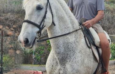 Tantulia la casita del Caballo - Foto 55