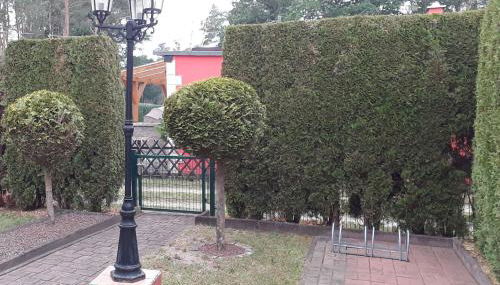 Haus Dannigkow - Foto 4