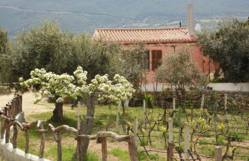 Villa L'Oleandro - Foto 58