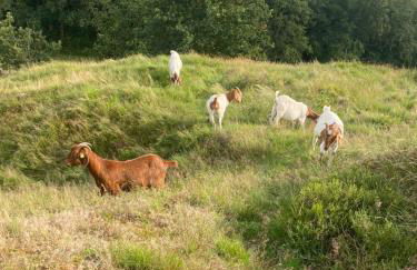 Hus Heideblick -zwischen Natur und Nordsee- - Foto 27