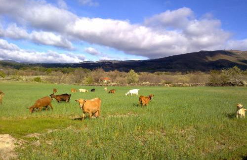 La Casa del Telar - Foto 65