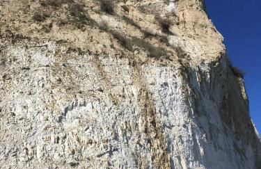 Ferienwohnungen Polchow - direkt am Wasser - Foto 24
