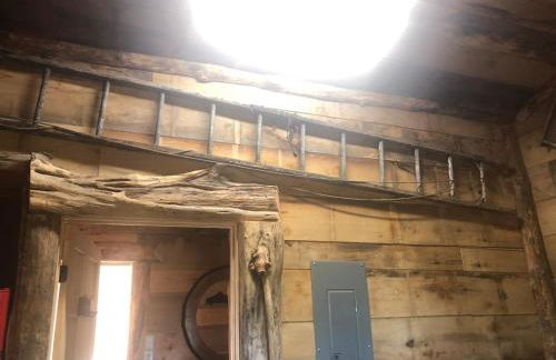 Harper Tree Top - Foto 14