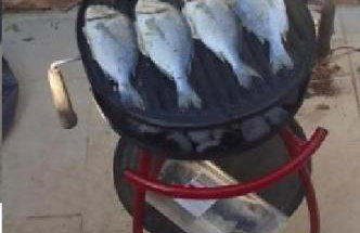 BEST PRICES VILLA NINI with private pool, barbecue,bike, fireplace, and much more - Foto 25