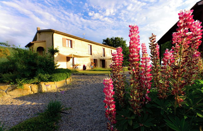 Agriturismo Le Casaline - Photo 4