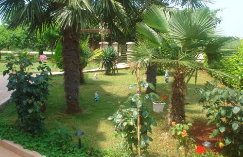 Apartments Jasna - Photo 31