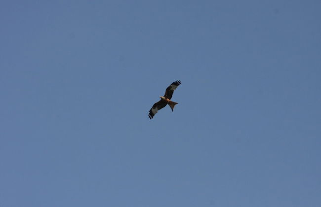 Terraced House, Lohmen - Foto 31