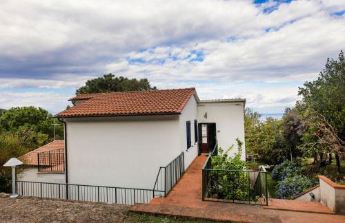 Cotoncello in una posizione panoramica - Goelba - Foto 20