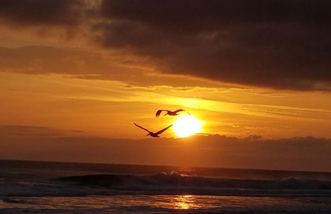 9 G, Two Bedroom Condo - Foto 21