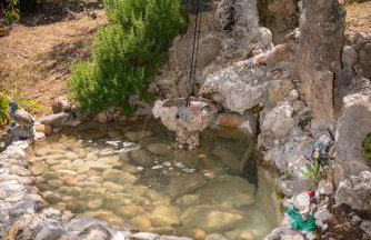 Apartments Srdanovic - Photo 61