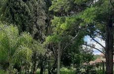 Chácara Monteiro - Próximo ao Thermas Water Park - Foto 14