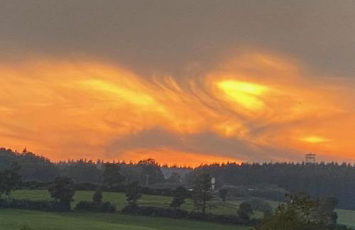 Sunset Tiny House GbR - Foto 27