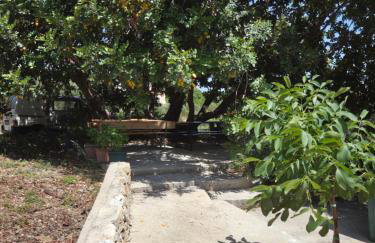 Studio Apartment Mileta - Photo 3