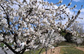 GÎTE DE L 'OCRE NICE VIEW - Foto 23