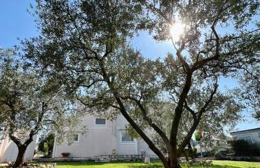 Apartments Tino & Leon - Foto 37