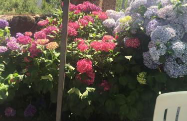 Casa Camino Real - Foto 24