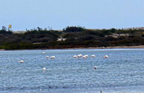 Precioso apartamento en Cabo de Gata - Foto 47