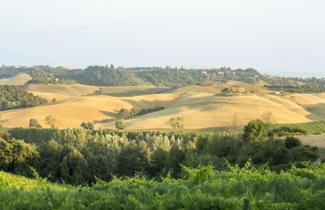 Casale degli Ulivi - Photo 33