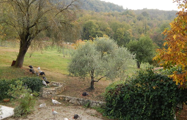 El Pavejo Alloggio e Colazione - Foto 64