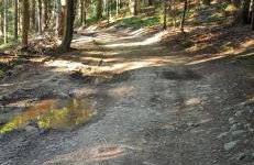 Chata z widokiem na Babią Górę - Foto 24