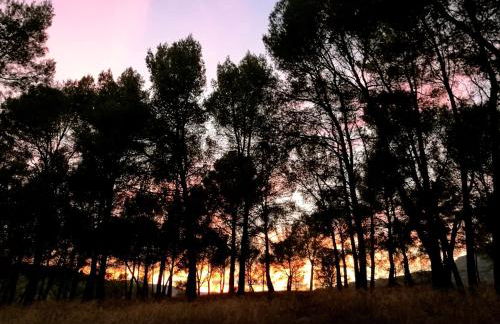 Finca La Celada - Foto 28