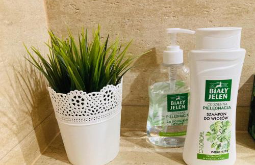 Apartament Gęsie Piórko - Foto 18