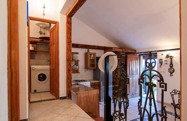 Victorious VIScovery Yellow - Foto 48