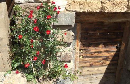 Le Ptit Chalet - Foto 3