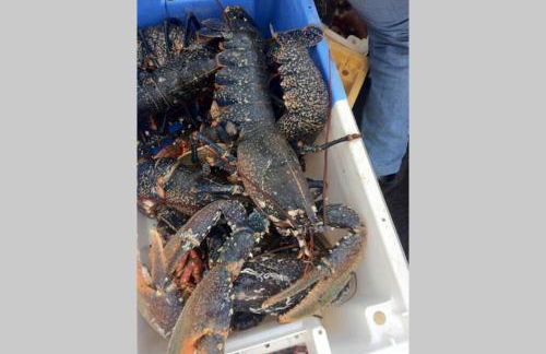 Maison près de la Pointe du Raz - Foto 13