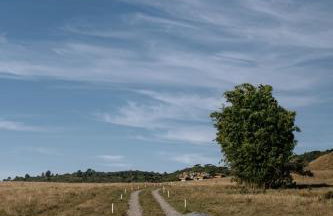 Valle Fiori - Foto 56