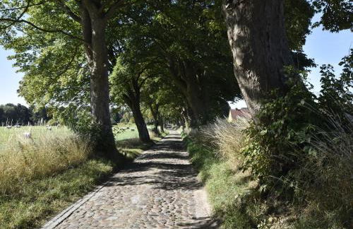 Satow Gartenwohnung - Foto 20