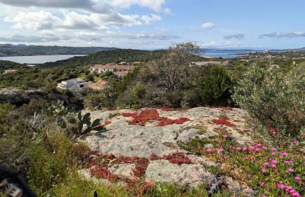 Villetta La Casa Vecchia Baja Sardinia - Foto 19