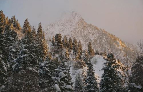 Mountain Apartment Located in BigCottonwood Canyon - Foto 19