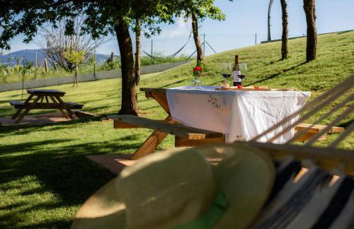 A Oliveira - Foto 59