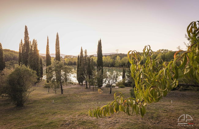 Villa Sant'Anna - Foto 33