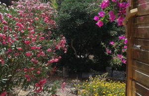 VillA LA PinetA - Foto 23