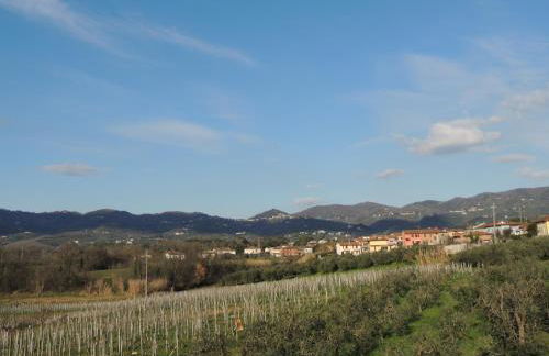 Il Chicco apartment - Foto 30