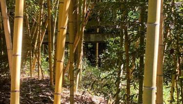 Shady Oaks Cabin - Foto 5