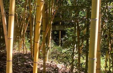 Shady Oaks Cabin - Foto 5