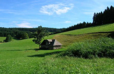 Bärenhof Hüsli - Foto 21