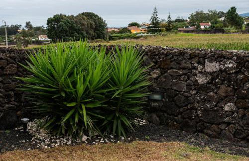 Capelas Garden - Photo 29