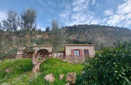 homonatura petrinum - Foto 10