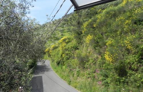 azienda agricola zulin casa elena - Foto 57