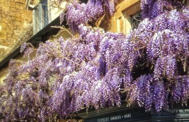 Cotswold Thatched Cottage - Photo 48